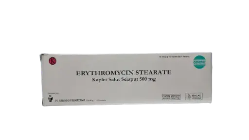 ERYTHROMYCIN 500 MG BOX/100 TABLET (YARINDO)